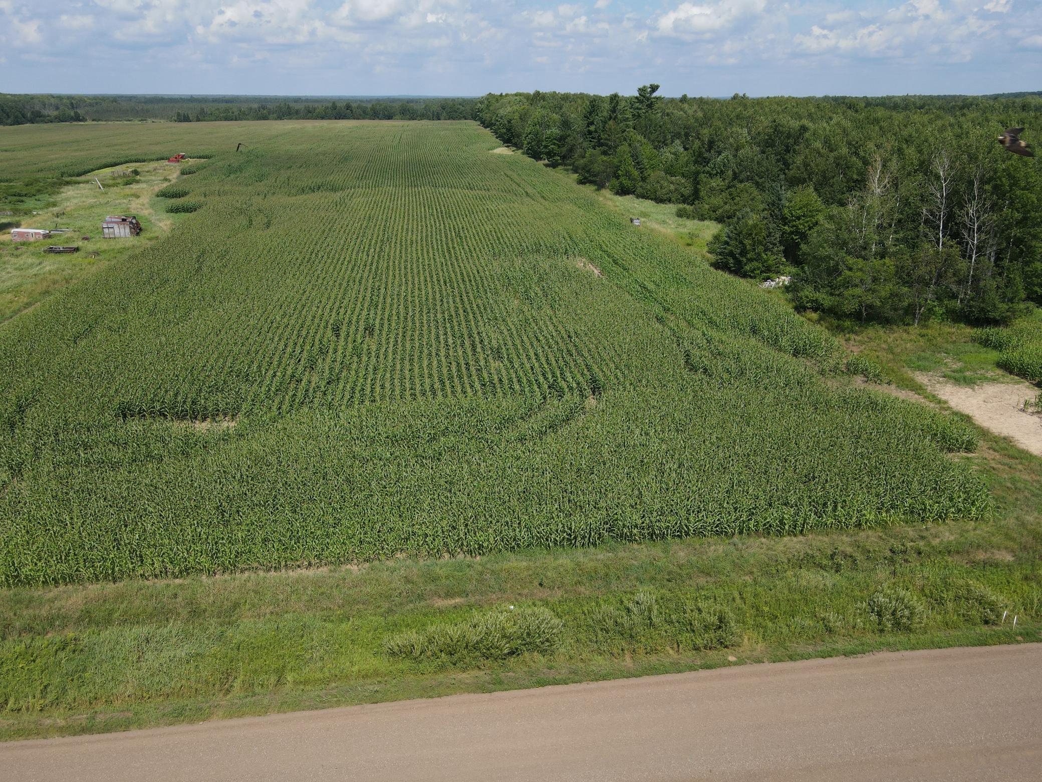 67TBD County Road M Ogema WI 54459