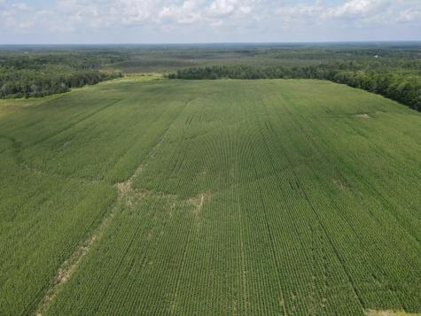 67TBD County Road M Ogema WI 54459