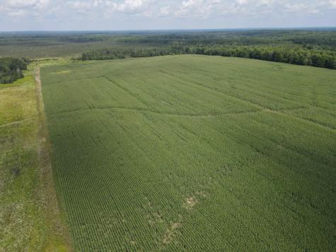 67TBD County Road M Ogema WI 54459