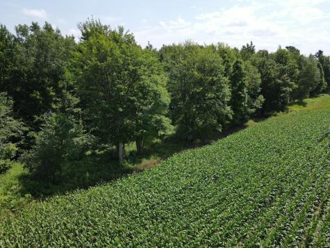 67TBD County Road M Ogema WI 54459