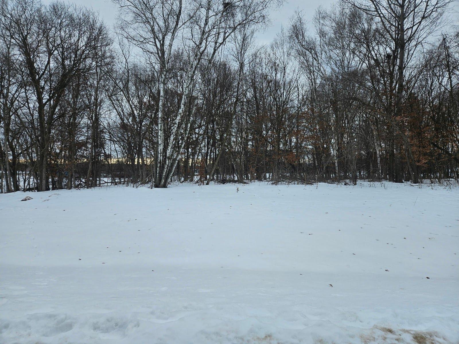 Lot 2, Block 3 2 1/2 Avenue NE Saint Stephen MN 56375