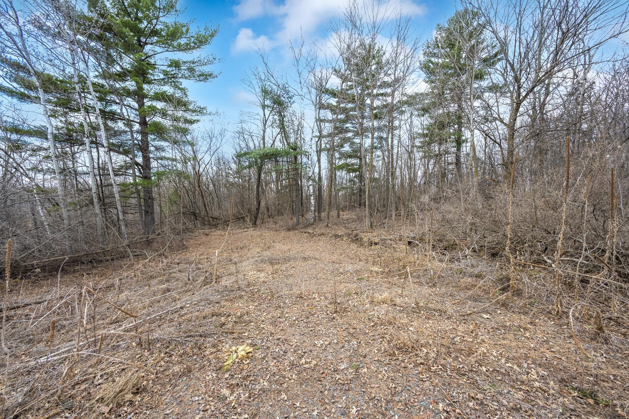Tbd Highway 46 Balsam Lake WI 54810