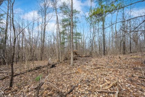 Tbd Highway 46 Balsam Lake WI 54810