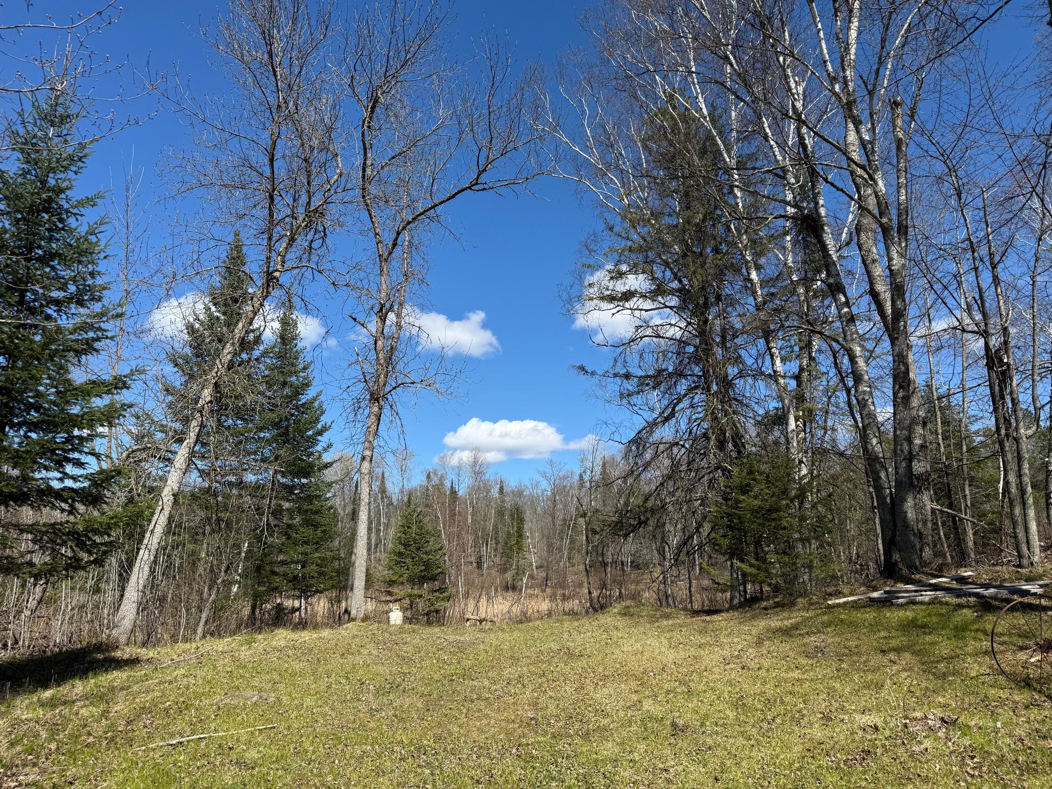 41174 Yellow Birch Lane Emily MN 56447