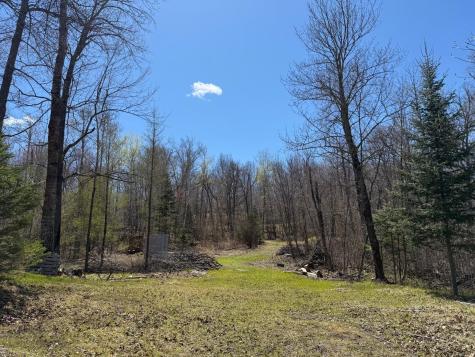 41174 Yellow Birch Lane Emily MN 56447