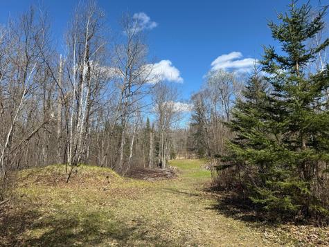 41174 Yellow Birch Lane Emily MN 56447