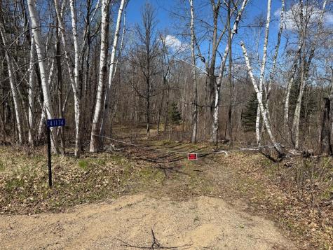 41174 Yellow Birch Lane Emily MN 56447