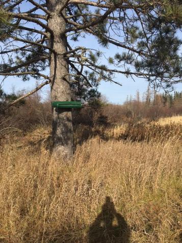 6501 Highway 169 Tower MN 55790