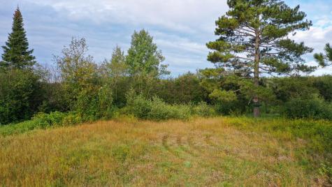 6501 Highway 169 Tower MN 55790