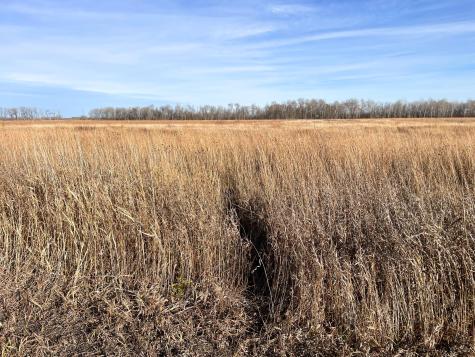 Tbd Highway 10 Thief River Falls MN 56701