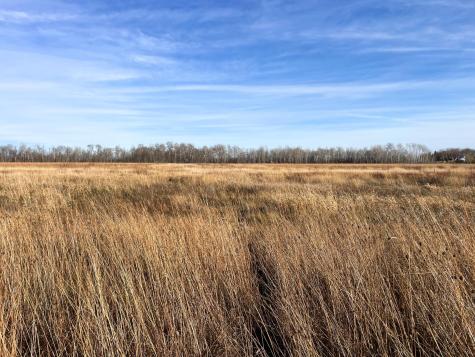 Tbd Highway 10 Thief River Falls MN 56701