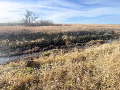 Tbd Highway 10 Thief River Falls MN 56701
