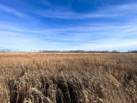 Tbd Highway 10 Thief River Falls MN 56701