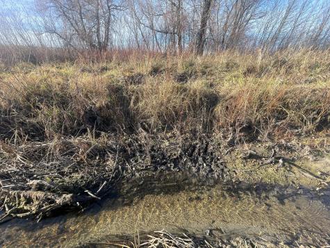 Tbd Highway 10 Thief River Falls MN 56701