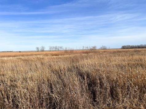 Tbd Highway 10 Thief River Falls MN 56701