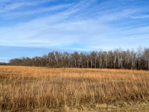 Tbd Highway 10 Thief River Falls MN 56701