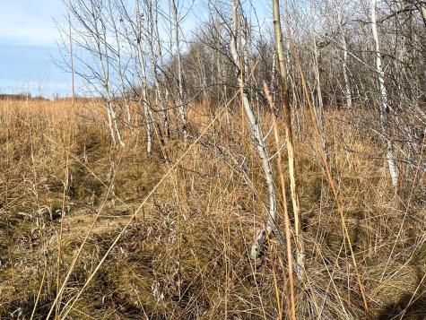 Tbd Highway 10 Thief River Falls MN 56701