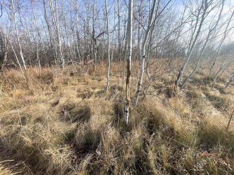Tbd Highway 10 Thief River Falls MN 56701