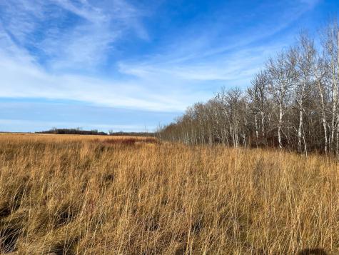 Tbd Highway 10 Thief River Falls MN 56701