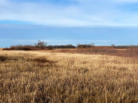 Tbd Highway 10 Thief River Falls MN 56701