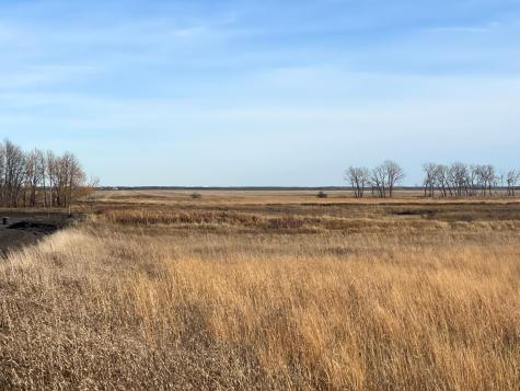 Tbd Highway 10 Thief River Falls MN 56701