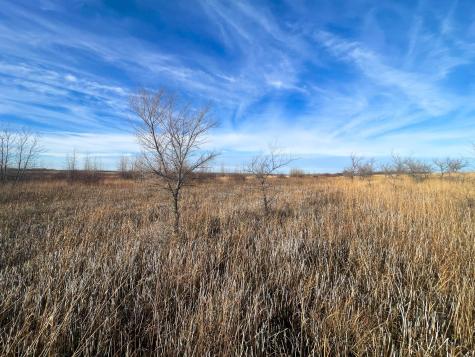 Tbd Highway 10 Thief River Falls MN 56701