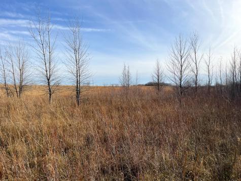 Tbd Highway 10 Thief River Falls MN 56701