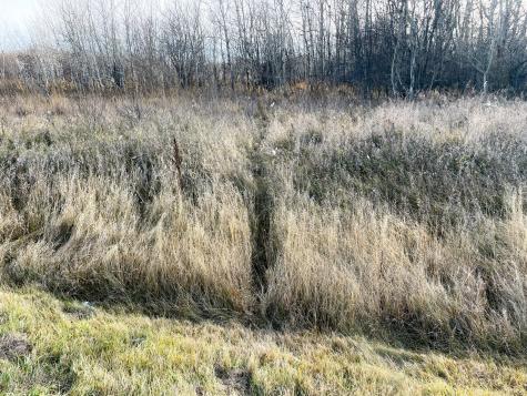Tbd Highway 10 Thief River Falls MN 56701