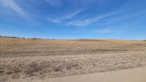 Lot 10 Eagle Landing Road Audubon MN 56511
