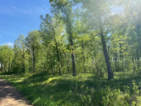 33XXX 30th Avenue Isle MN 56342