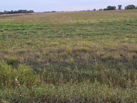 Tbd County Highway 32 Gary MN 56545