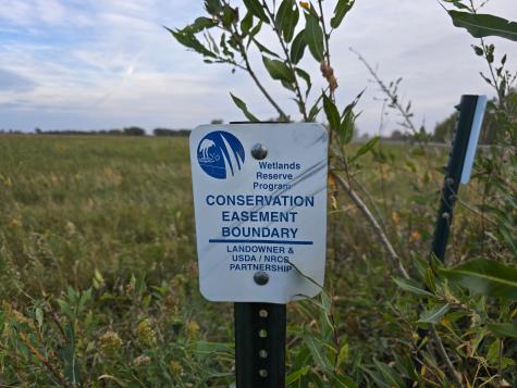 Tbd County Highway 32 Gary MN 56545