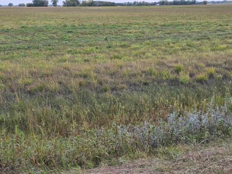 Tbd County Highway 32 Gary MN 56545