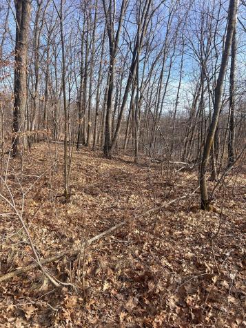 Xxx Norway Trail Cushing MN 56443