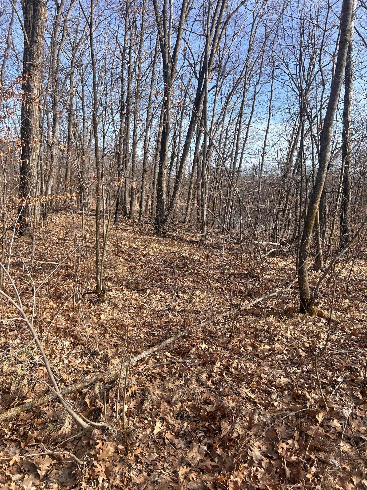 Xxx Norway Trail Cushing MN 56443