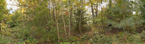 7646 196th Street Chippewa Falls WI 54729