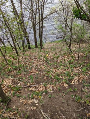 7646 196th Street Chippewa Falls WI 54729
