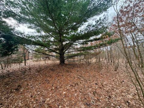 7646 196th Street Chippewa Falls WI 54729