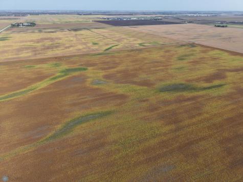 9350 & 9124 57th Street S Fargo ND 58104