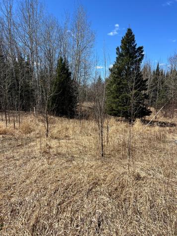 Tbd County Road 553 Nashwauk MN 55769