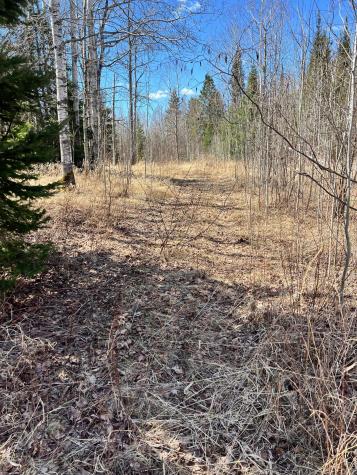 Tbd County Road 553 Nashwauk MN 55769