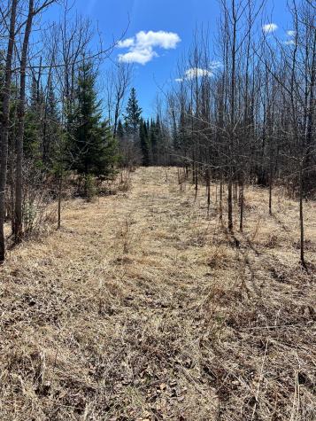Tbd County Road 553 Nashwauk MN 55769