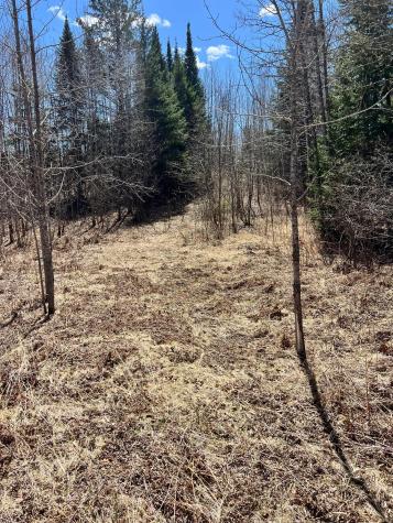 Tbd County Road 553 Nashwauk MN 55769
