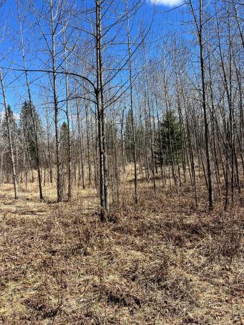 Tbd County Road 553 Nashwauk MN 55769