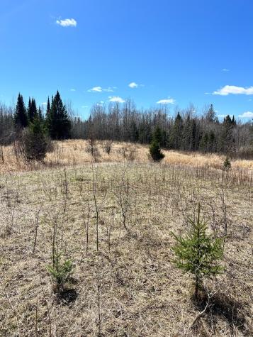 Tbd County Road 553 Nashwauk MN 55769