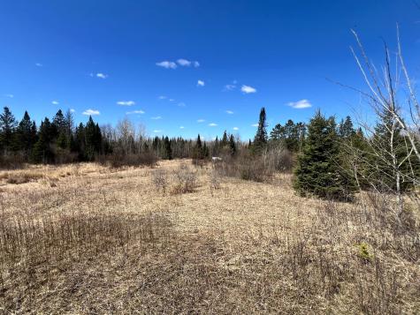 Tbd County Road 553 Nashwauk MN 55769