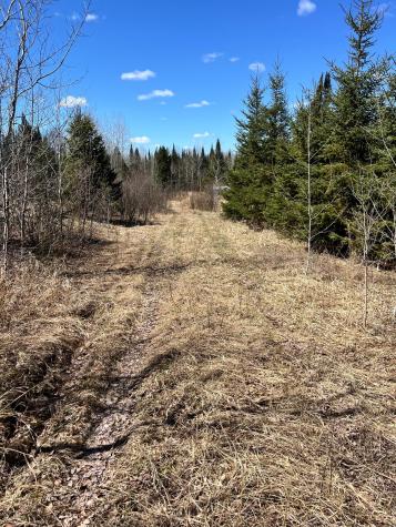 Tbd County Road 553 Nashwauk MN 55769