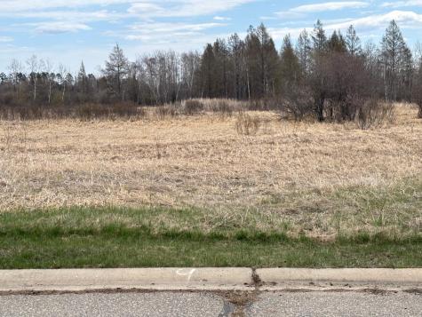 Lot 9 Irvine Avenue NW Bemidji MN 56601