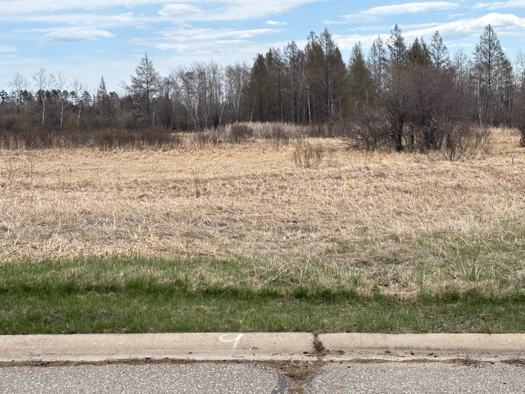 Lot 9 Irvine Avenue NW Bemidji MN 56601