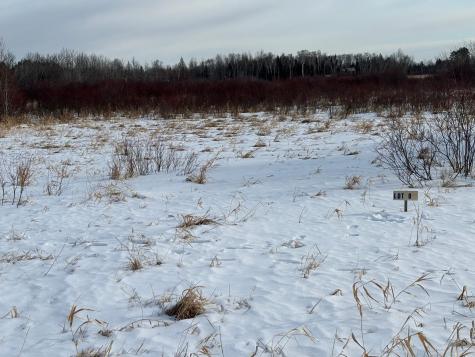 Lot 9 Irvine Avenue NW Bemidji MN 56601